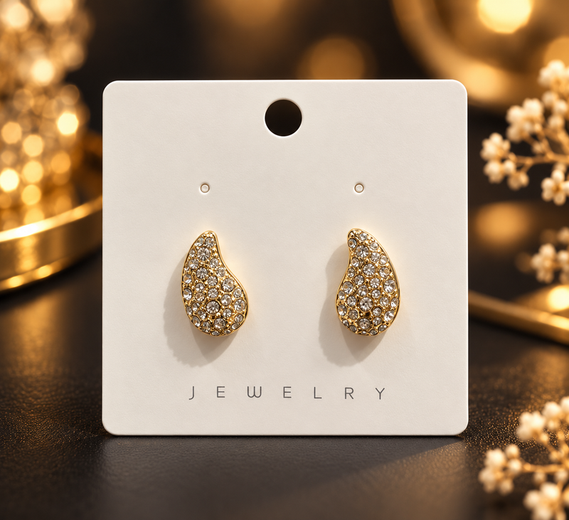 Western earrings