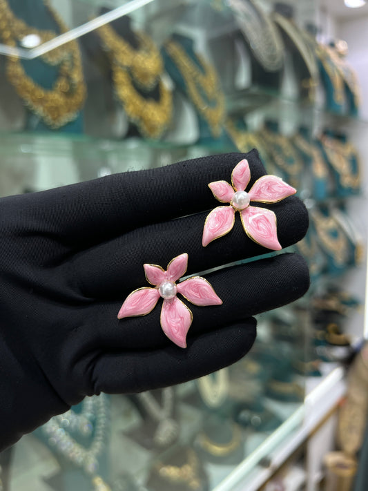 Western earrings